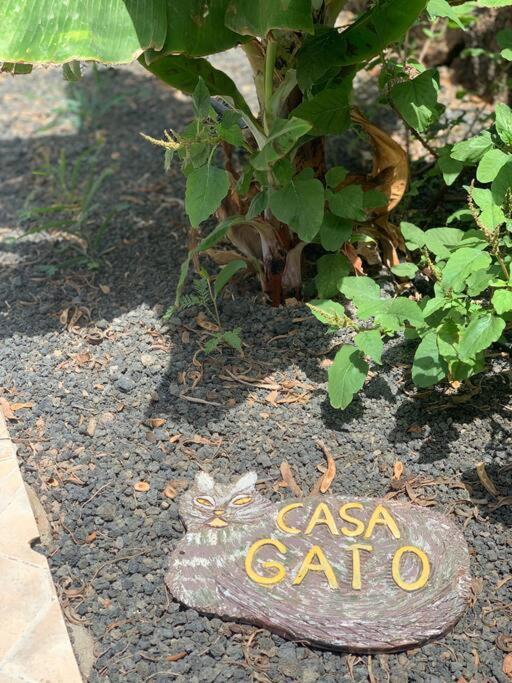 Apartmán Casa Gato Corralejo Exteriér fotografie